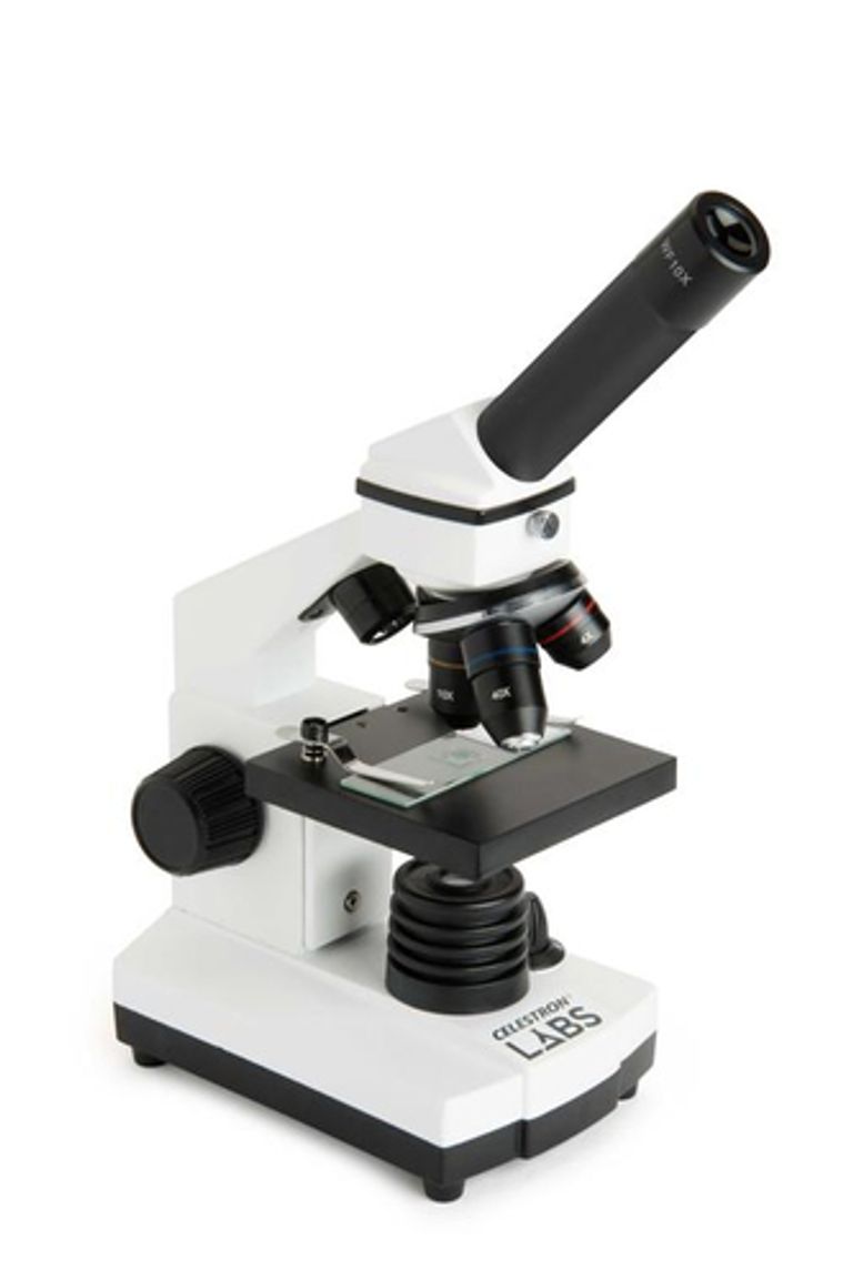 Celestron LABS CM800 800x Microscopio ottico_CELESTRON_2_big-image