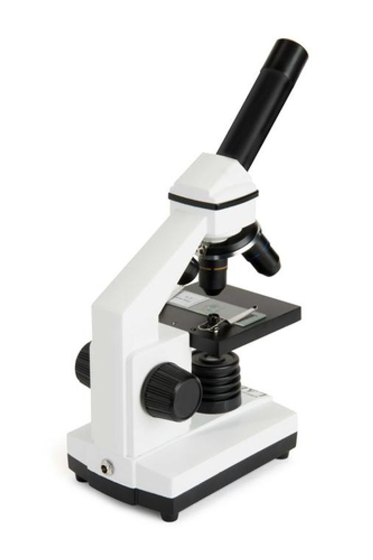 Celestron LABS CM800 800x Microscopio ottico_CELESTRON_4_big-image