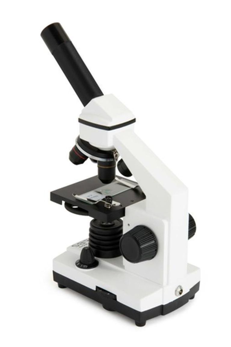 Celestron LABS CM800 800x Microscopio ottico_CELESTRON_3_big-image