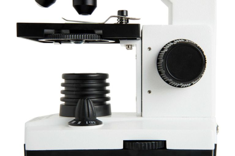 Celestron LABS CM800 800x Microscopio ottico_CELESTRON_7_big-image