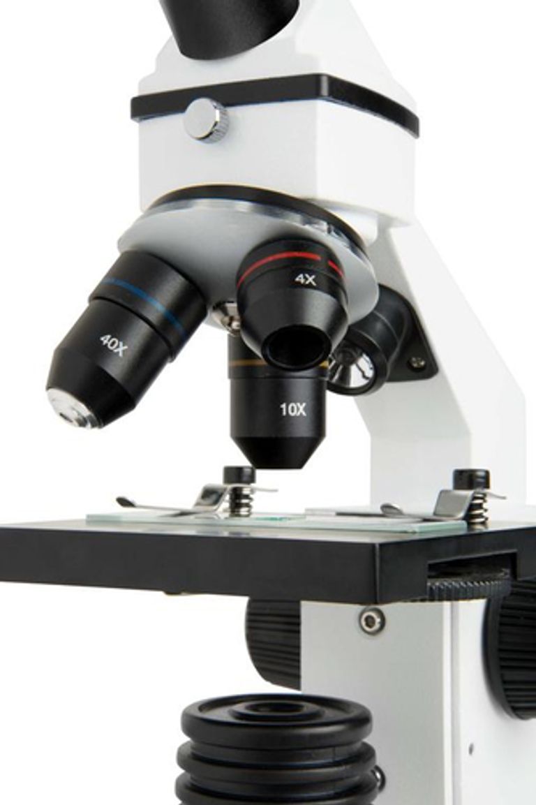 Celestron LABS CM800 800x Microscopio ottico_CELESTRON_8_big-image