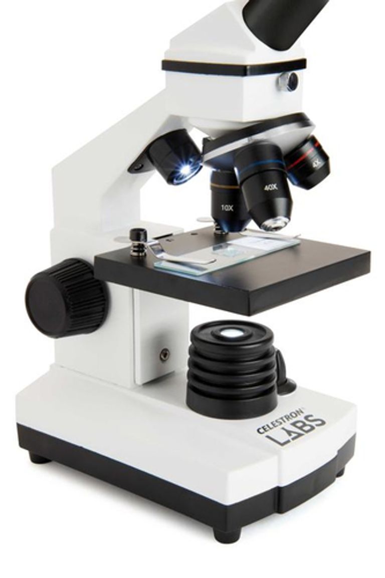 Celestron LABS CM800 800x Microscopio ottico_CELESTRON_9_big-image