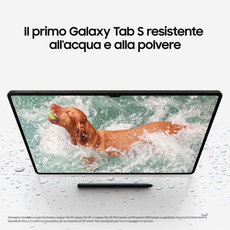Samsung Galaxy Tab S9 Tablet Android 11 Pollici Dynamic AMOLED 2X Wi-Fi RAM 12 GB 256 GB Tablet Android 13 Graphite_SAMSUNG_15_big-image