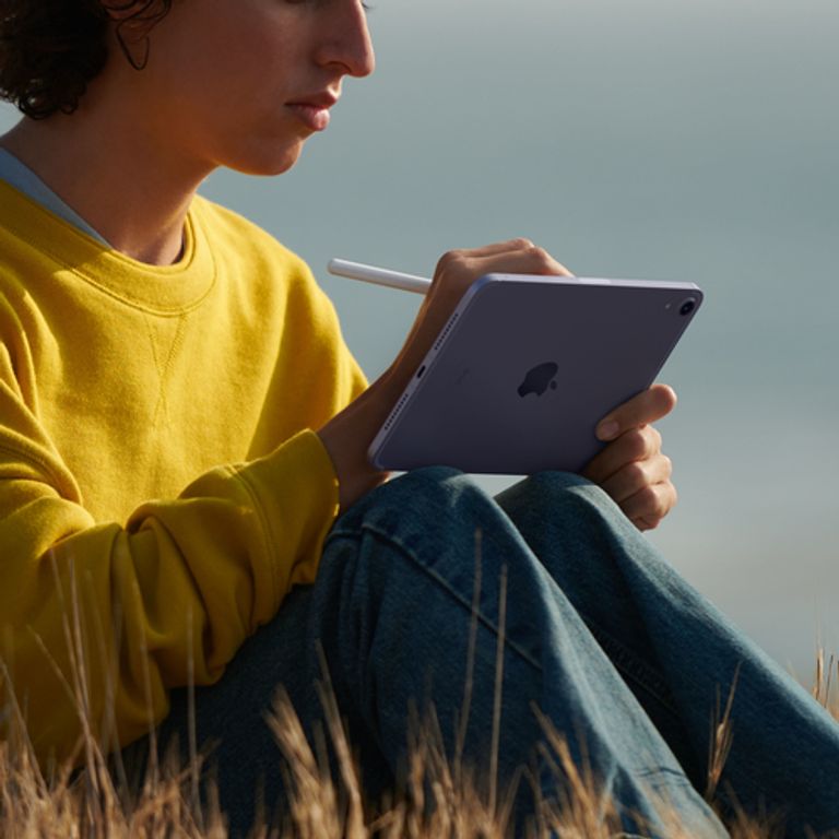 Apple iPad mini Wi-Fi + Cellular 256GB - Grigio siderale_APPLE_5_big-image