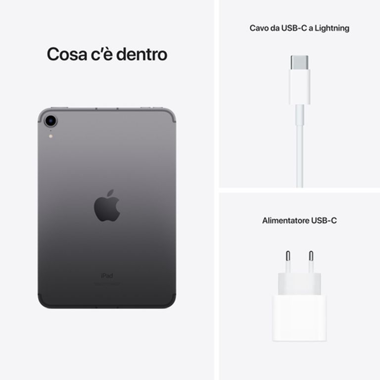 Apple iPad mini Wi-Fi + Cellular 256GB - Grigio siderale_APPLE_8_big-image