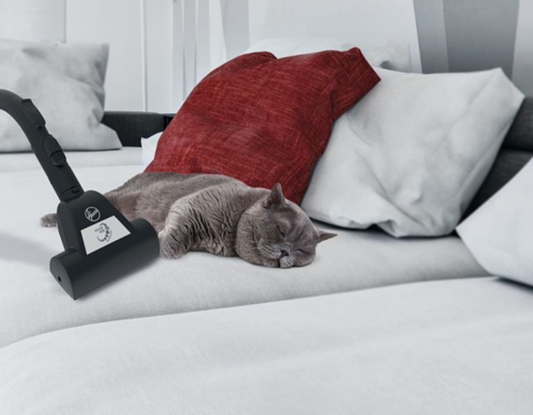 Hoover H-POWER 300 HP330ALG 011 2 L A cilindro Secco 850 W Senza sacchetto_HOOVER_5_big-image