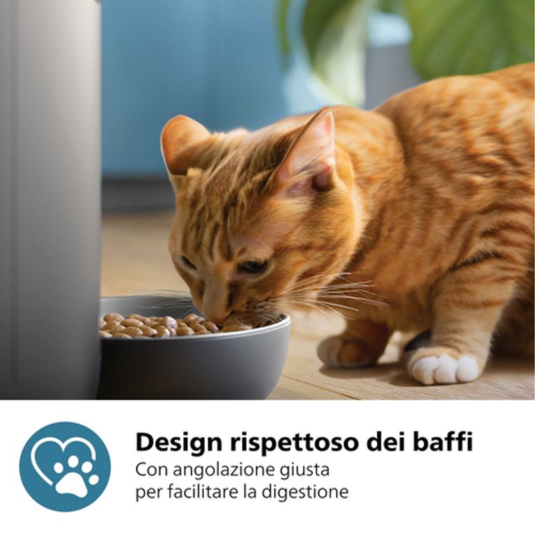 Philips 5000 series Distributore di cibo smart con telecamera per animali domestici serie PAW5320/02_PHILIPS_6_big-image