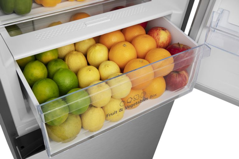 Hisense RB440N4ACA frigorifero con congelatore Libera installazione 336 L A Acciaio inox_HISENSE_6_big-image