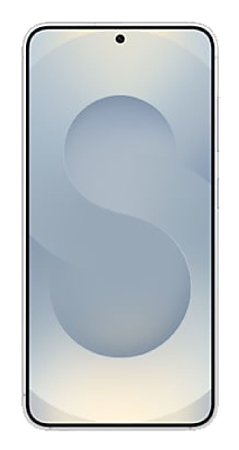 Samsung Galaxy S25 Enterprise Edition 15,8 cm (6.2") Doppia SIM Android 15 5G USB tipo-C 12 GB 128 GB 4000 mAh Argento_SAMSUNG_0_big-image