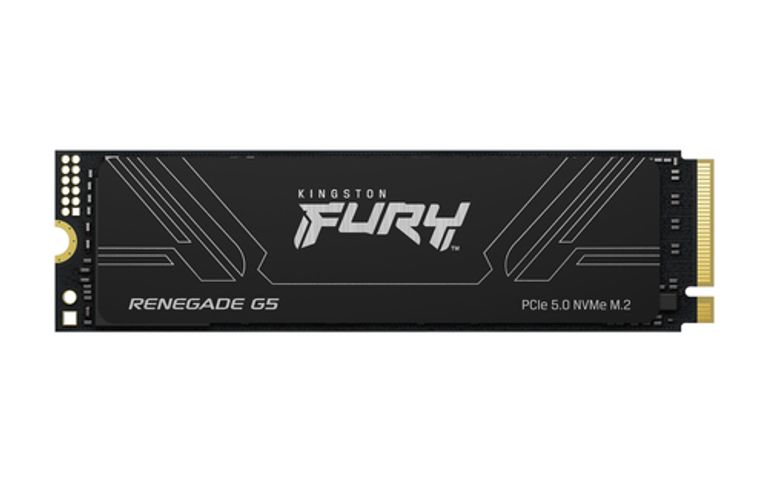 Kingston Technology 1T FURY RENEGADE G5 M.2 2280 NVMe SSD_KINGSTON TECHNOLOGY_1_big-image
