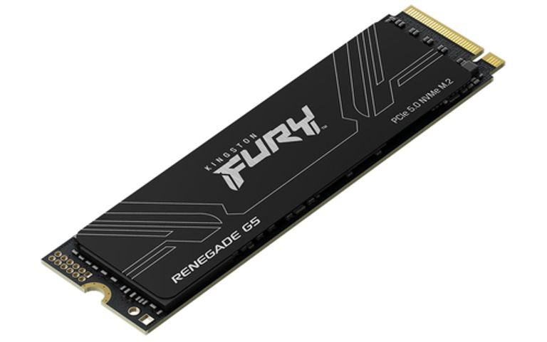 Kingston Technology 1T FURY RENEGADE G5 M.2 2280 NVMe SSD_KINGSTON TECHNOLOGY_3_big-image