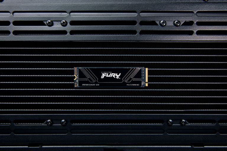 Kingston Technology 1T FURY RENEGADE G5 M.2 2280 NVMe SSD_KINGSTON TECHNOLOGY_6_big-image
