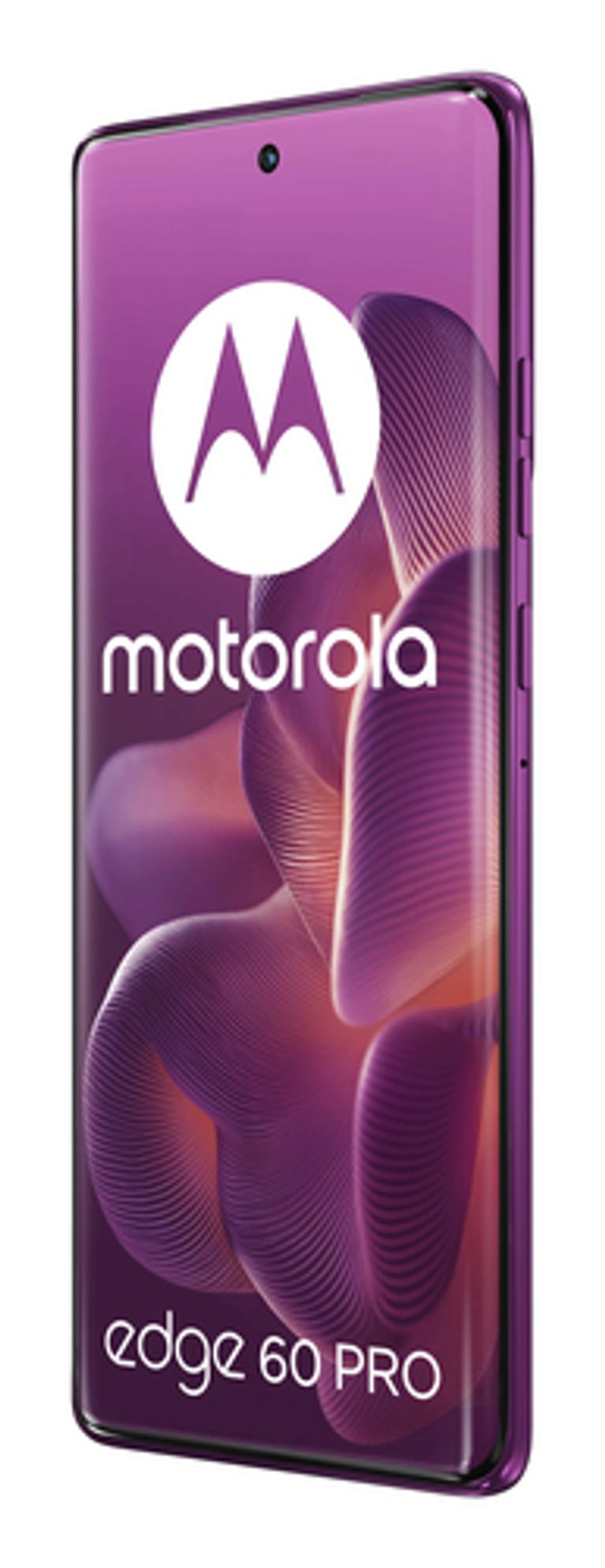Motorola edge 60 pro con Moto AI (12/512GB, Fotocamera 50+50+10MP, selfie 50MP, Display 6.67" pOLED 120Hz, MediaTek Dimensity 8350, batteria 6000mAh, ricarica 90W, Android 15), PANTONE Sparkling Grape_MOTOROLA_4_big-image