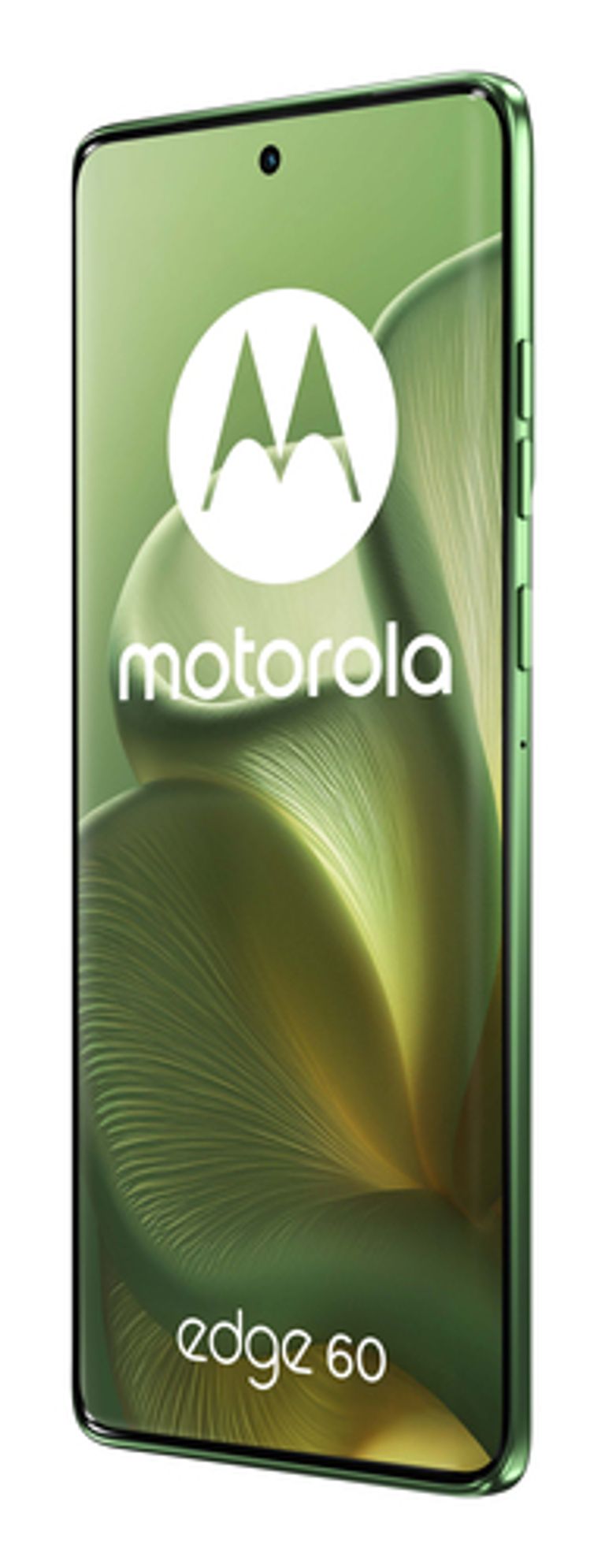 Motorola edge 60 con Moto AI (8/256GB, Fotocamera 50+50+10MP, selfie 50MP, Display 6.67" pOLED 120Hz, MediaTek Dimensity 24M, batteria 5200mAh, ricarica 68W, Android 15), PANTONE Shamrock_MOTOROLA_2_big-image