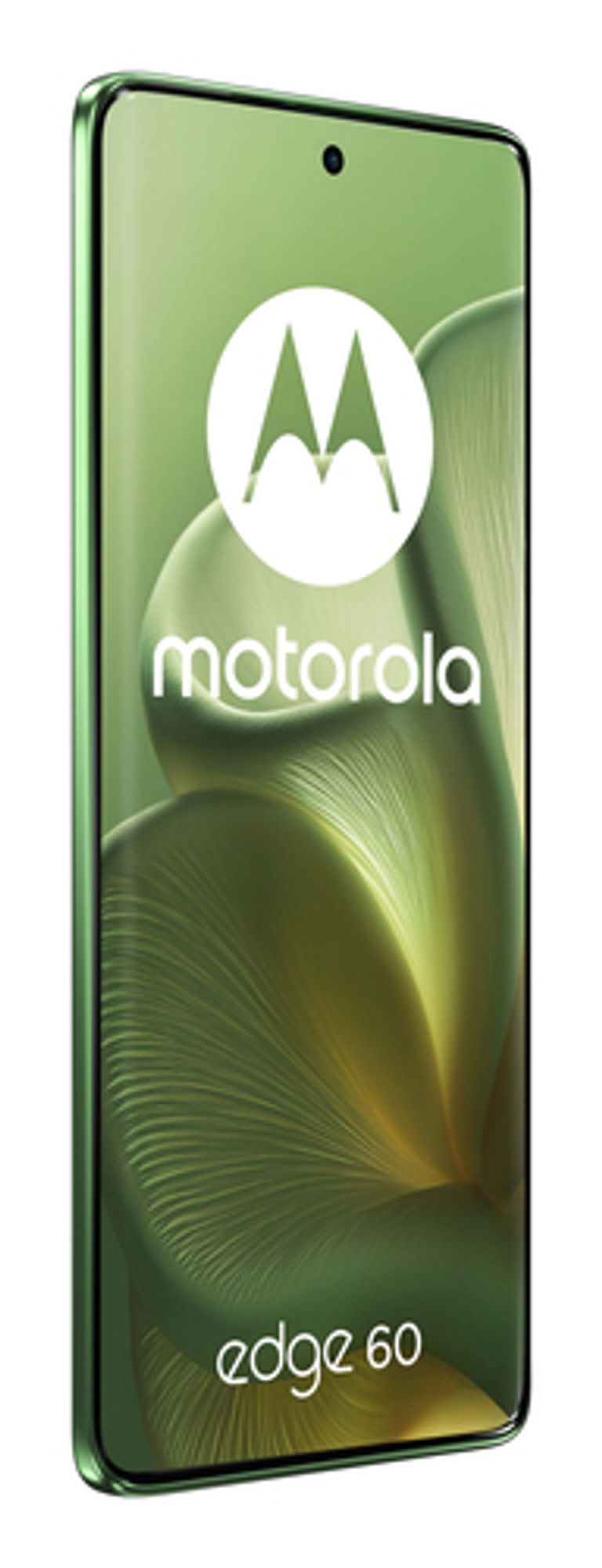 Motorola edge 60 con Moto AI (8/256GB, Fotocamera 50+50+10MP, selfie 50MP, Display 6.67" pOLED 120Hz, MediaTek Dimensity 24M, batteria 5200mAh, ricarica 68W, Android 15), PANTONE Shamrock_MOTOROLA_4_big-image