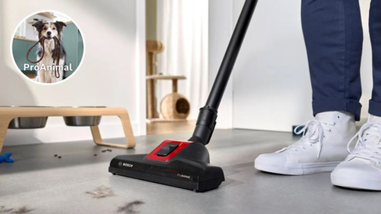 Bosch BGB41PET1 aspirapolvere a traino 4 L A cilindro Secco 700 W Sacchetto per la polvere_BOSCH_4_big-image